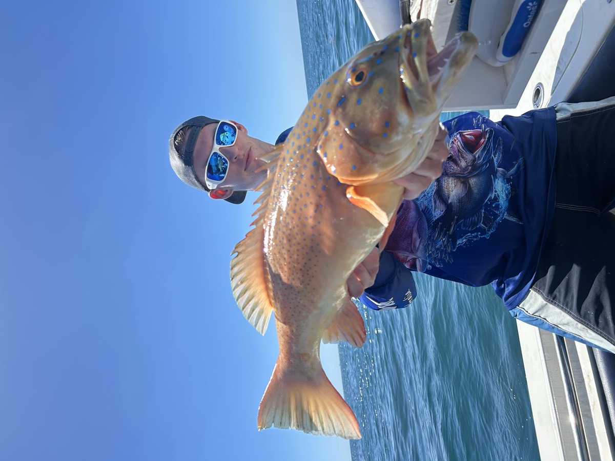 Coral trout on the boat